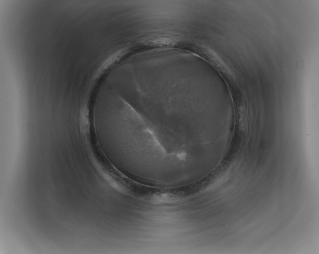 X0000113300634200909281105