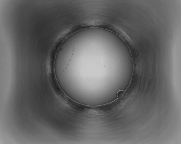 X0000113300635200909281105