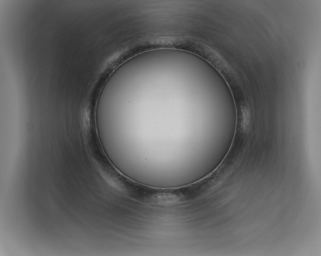 X0000113300636200909281105