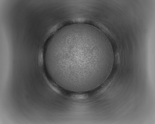 X0000113300638200909281105