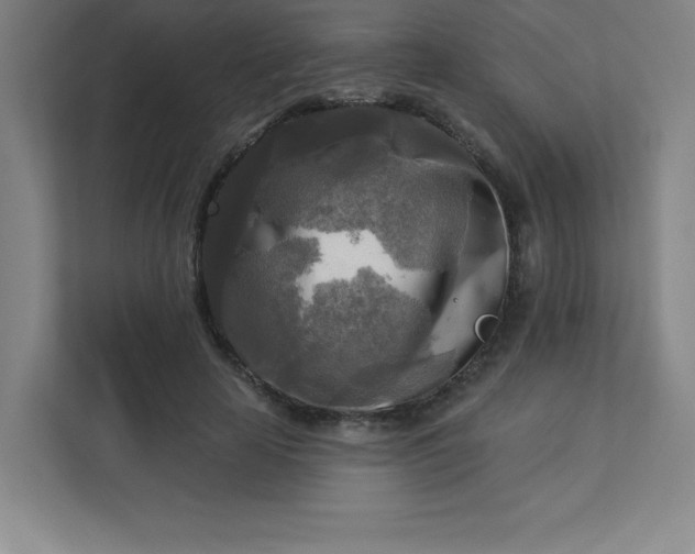 X0000113300641200909281105