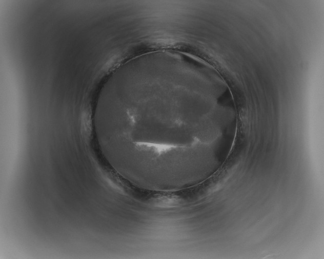 X0000113300642200909281105