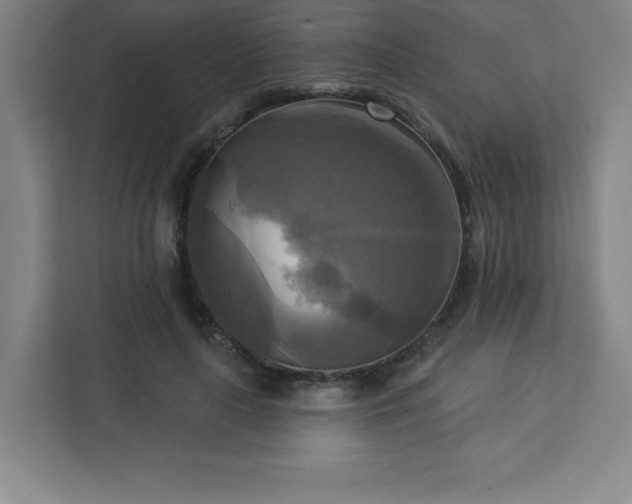 X0000113300643200909281105