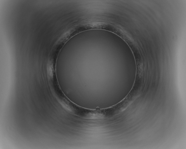 X0000113300644200909281105