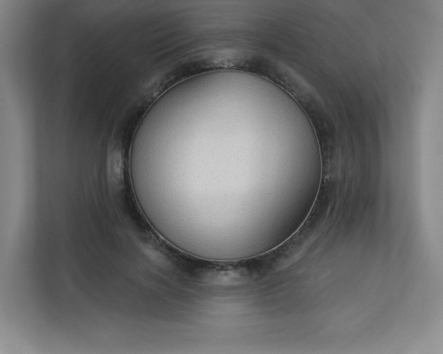 X0000113300646200909281105