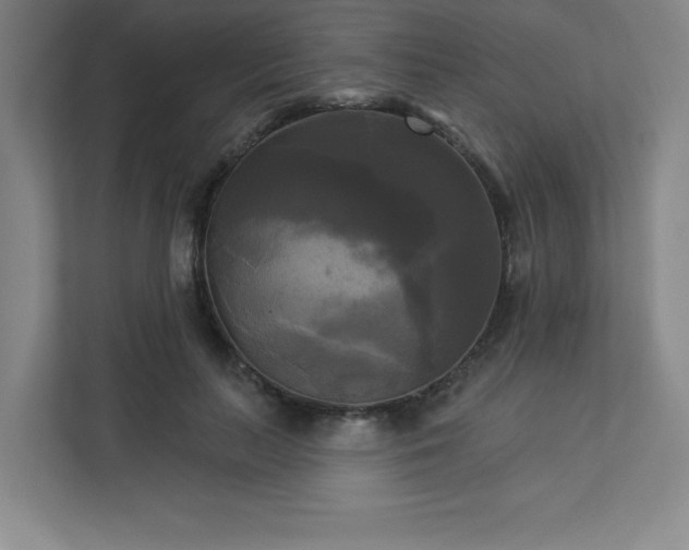 X0000113300647200909281105