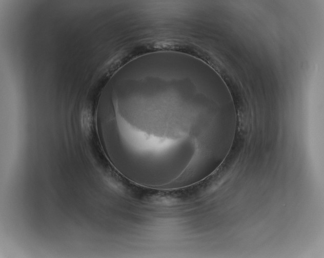 X0000113300648200909281105