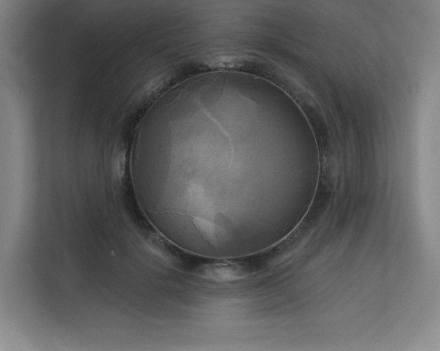 X0000113300652200909281105