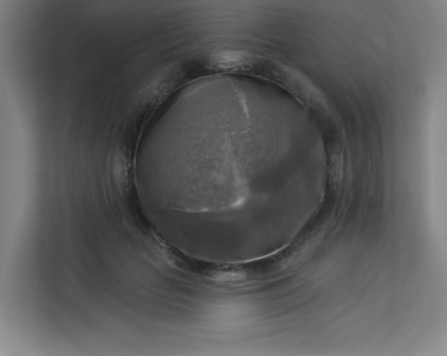 X0000113300653200909281105