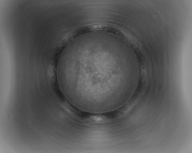 X0000113300654200909281105