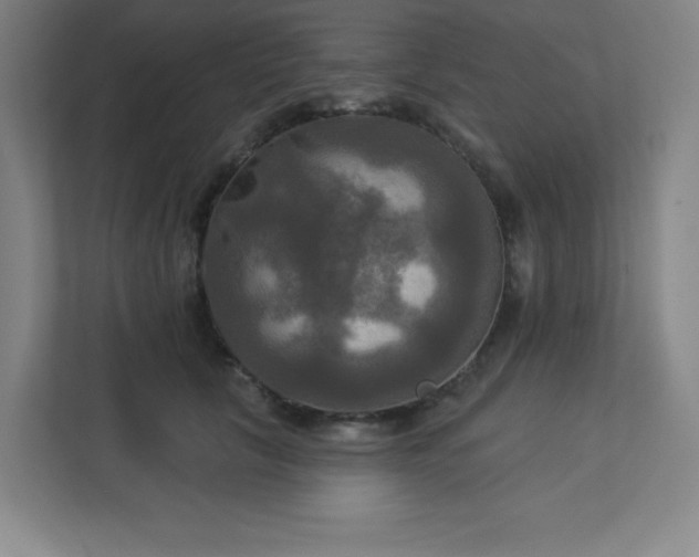 X0000113300657200909281105