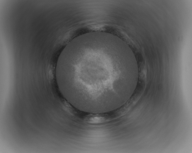 X0000113300658200909281105