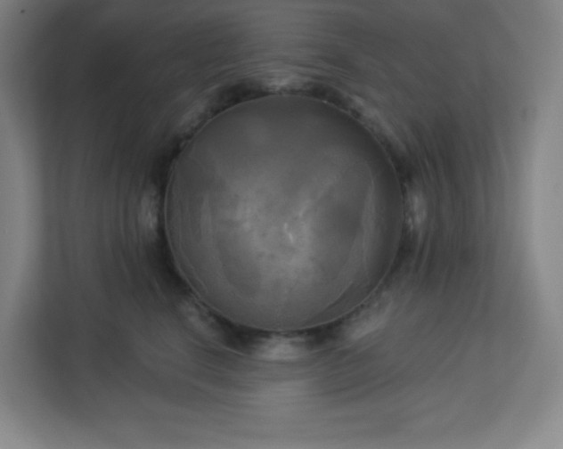 X0000113300664200909281105