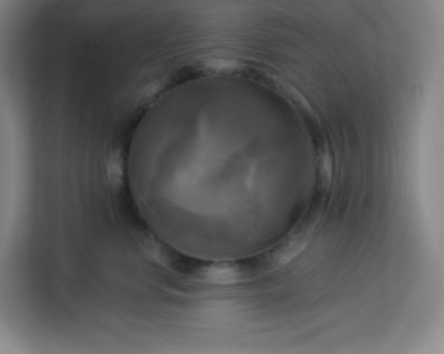 X0000113300668200909281105