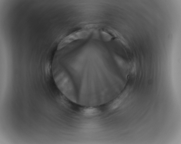 X0000113300669200909281105