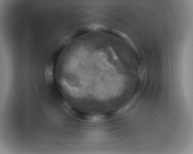 X0000113300670200909281105