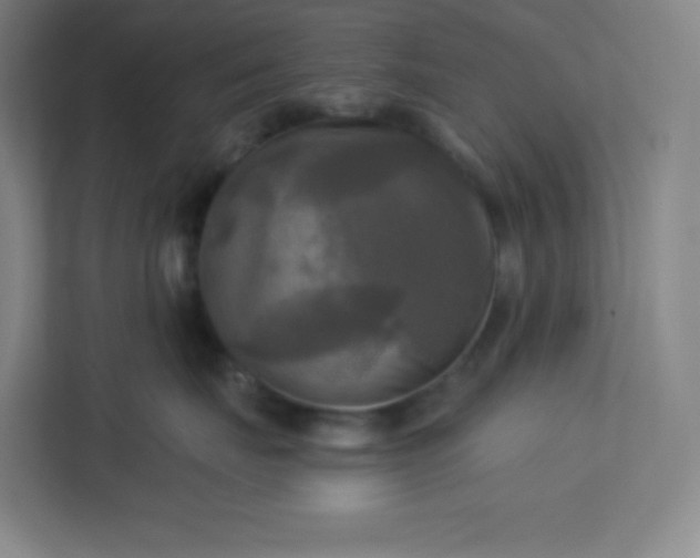 X0000113300671200909281105