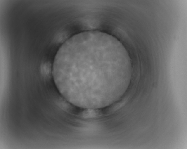 X0000113300672200909281105