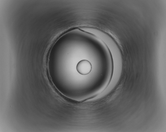 X0000113300673200909281105