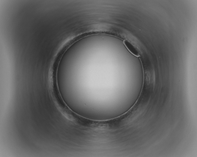 X0000113300676200909281105