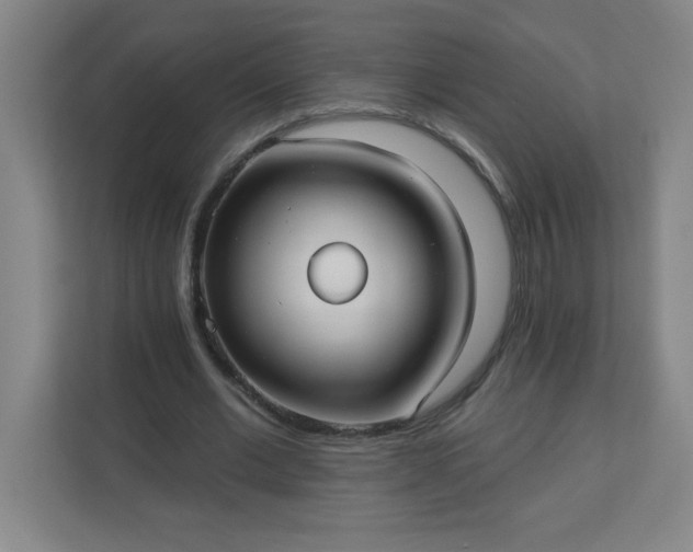 X0000113300677200909281105