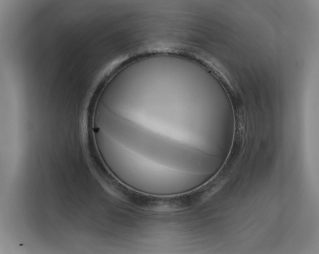 X0000113300678200909281105