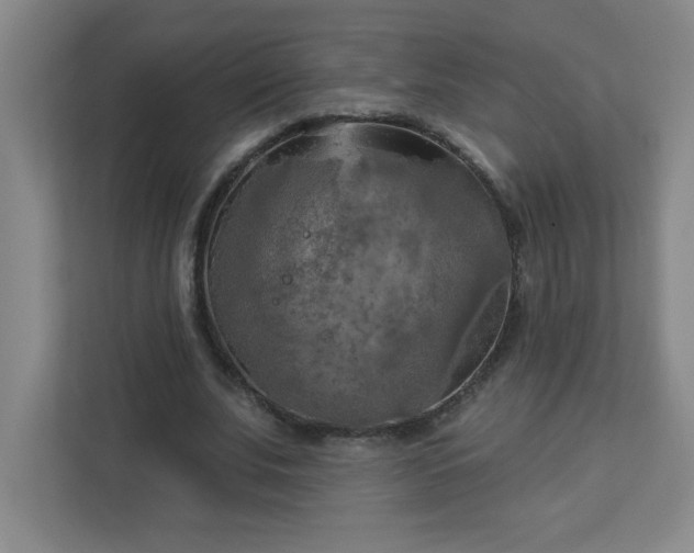 X0000113300679200909281105