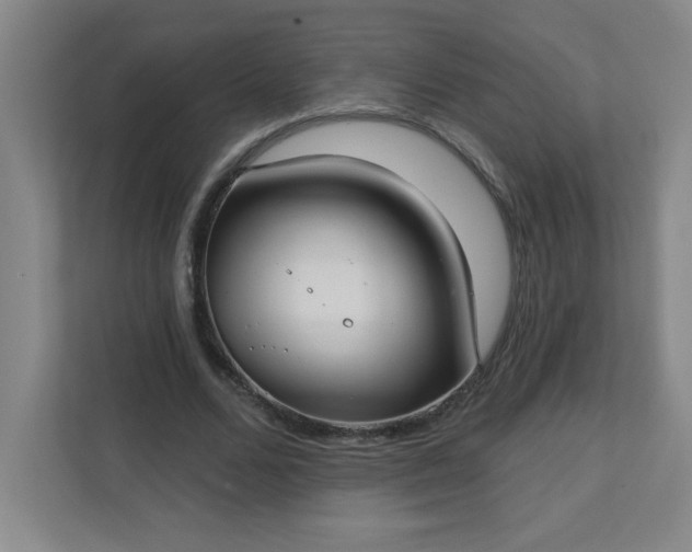 X0000113300680200909281105