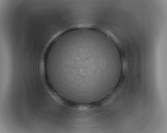 X0000113300684200909281105