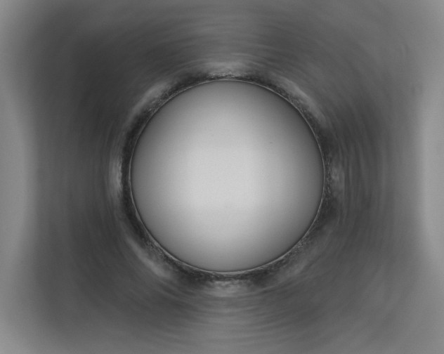 X0000113300686200909281105