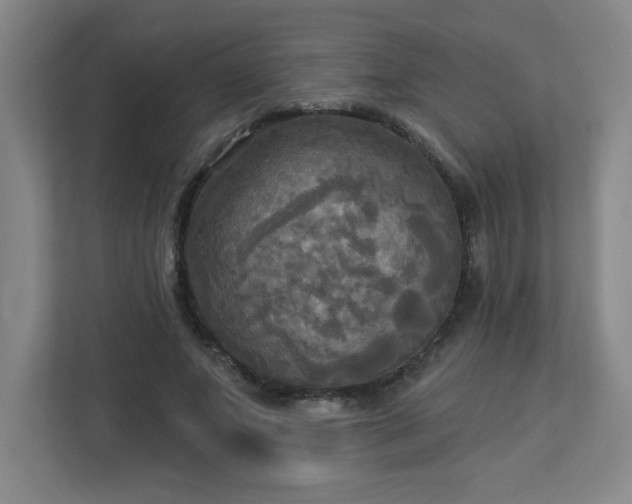 X0000113300687200909281105