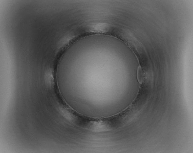 X0000113300688200909281105