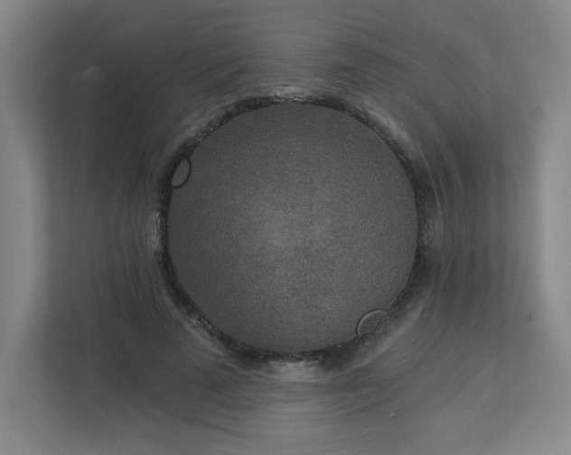 X0000113300689200909281105