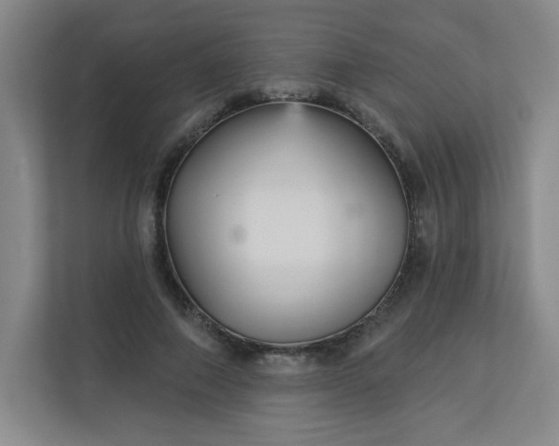 X0000113300690200909281105