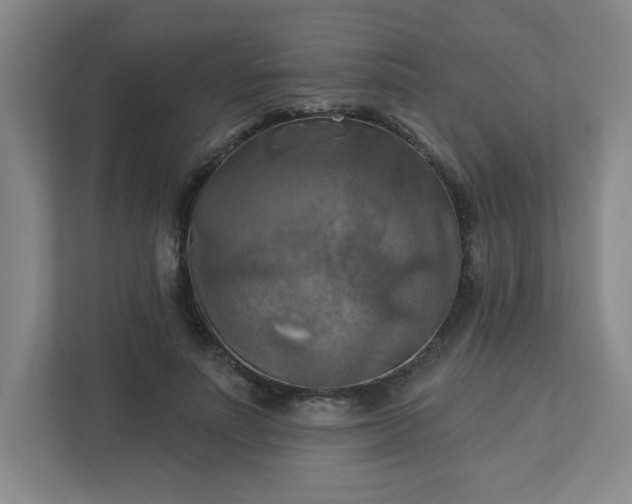 X0000113300691200909281105