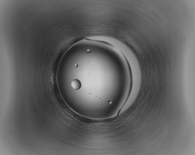 X0000113300692200909281105