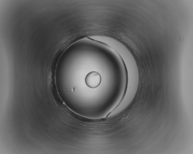 X0000113300693200909281105