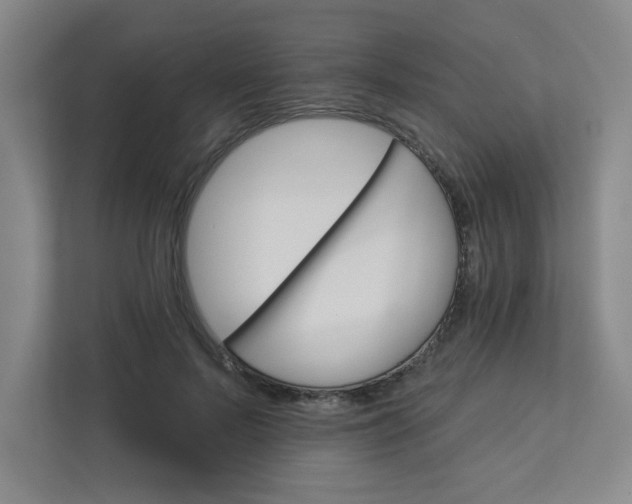 X0000113300695200909281104