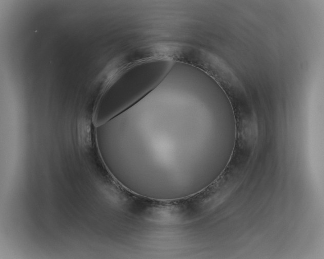 X0000113300696200909281104