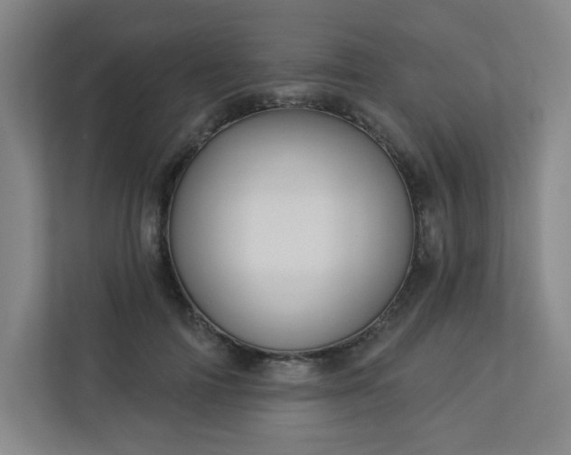 X0000113300698200909281104