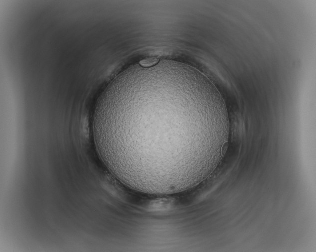 X0000113300700200909281104