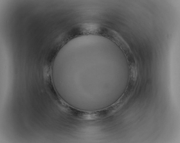 X0000113300701200909281104