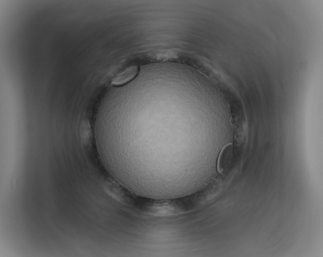 X0000113300704200909281104