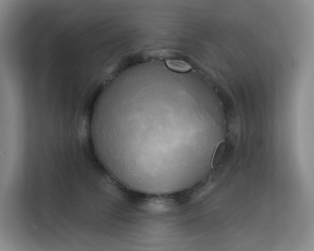 X0000113300708200909281104