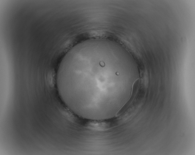 X0000113300712200909281104