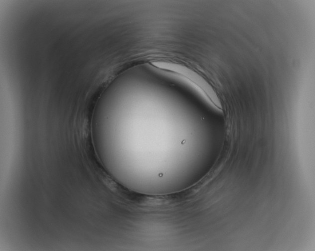 X0000113300713200909281104