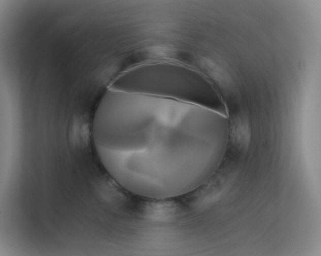 X0000113300716200909281104