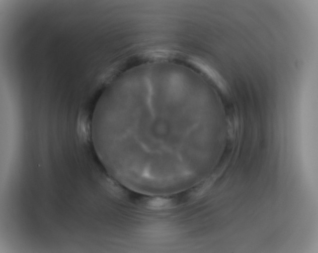 X0000113300718200909281104