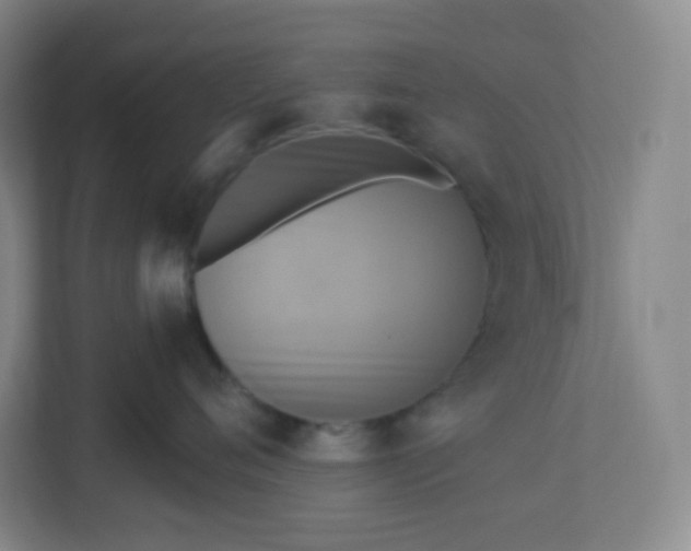 X0000113300720200909281104