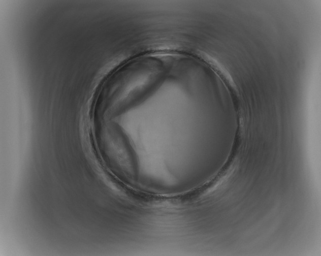 X0000113300721200909281104